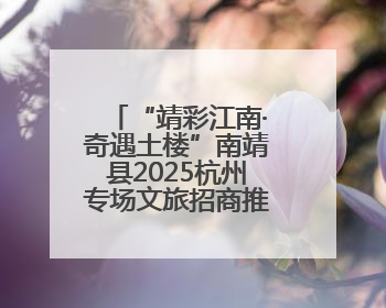 “靖彩江南·奇遇土楼”南靖县2025杭州专场文旅招商推介会举行