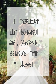 “链上坪山”协同创新，为企业发展充“储”未来