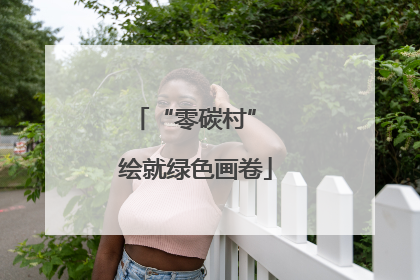 “零碳村” 绘就绿色画卷