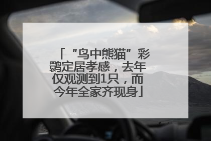 “鸟中熊猫”彩鹮定居孝感，去年仅观测到1只，而今年全家齐现身