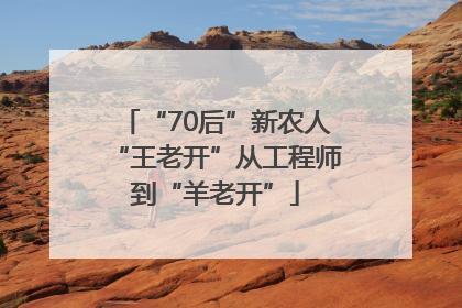 “70后”新农人“王老开”从工程师到“羊老开”