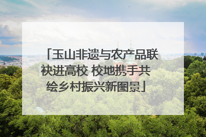 玉山非遗与农产品联袂进高校 校地携手共绘乡村振兴新图景