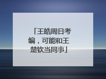 王皓周日考编，可能和王楚钦当同事