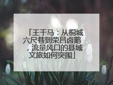 王千马：从桐城六尺巷到荣昌卤鹅，流量风口的县域文旅如何突围