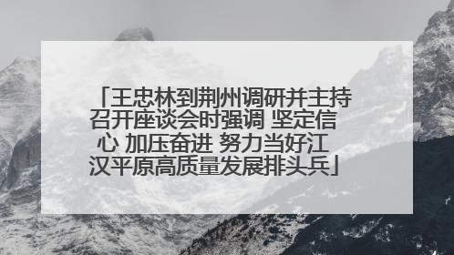 王忠林到荆州调研并主持召开座谈会时强调 坚定信心 加压奋进 努力当好江汉平原高质量发展排头兵