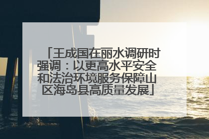 王成国在丽水调研时强调：以更高水平安全和法治环境服务保障山区海岛县高质量发展