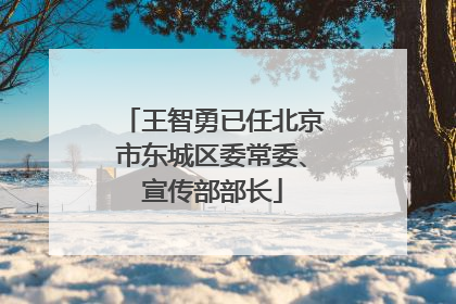 王智勇已任北京市东城区委常委、宣传部部长