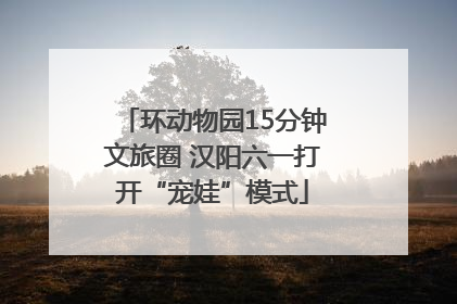 环动物园15分钟文旅圈 汉阳六一打开“宠娃”模式