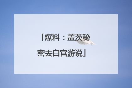爆料：盖茨秘密去白宫游说