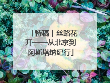 特稿｜丝路花开——从北京到阿斯塔纳纪行