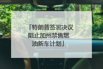 特朗普签署决议 阻止加州禁售燃油新车计划