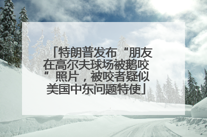 特朗普发布“朋友在高尔夫球场被鹅咬”照片，被咬者疑似美国中东问题特使
