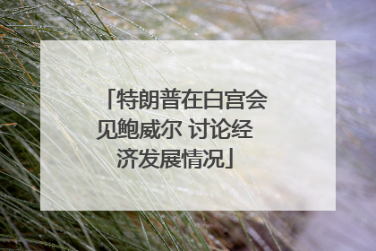 特朗普在白宫会见鲍威尔 讨论经济发展情况