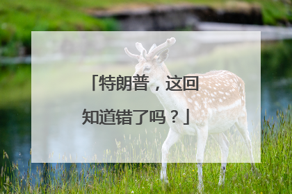 特朗普，这回知道错了吗？