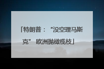 特朗普：“没空理马斯克” 欧洲抛橄榄枝