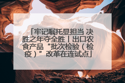 牢记嘱托显担当 决胜之年夺全胜丨出口农食产品“批次检验（检疫）”改革在连试点