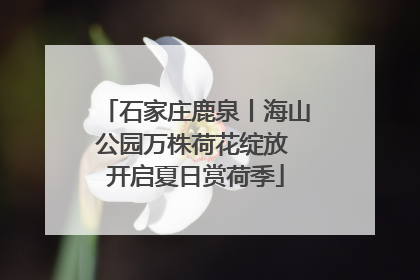 石家庄鹿泉丨海山公园万株荷花绽放 开启夏日赏荷季