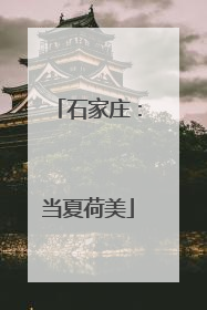 石家庄：当夏荷美