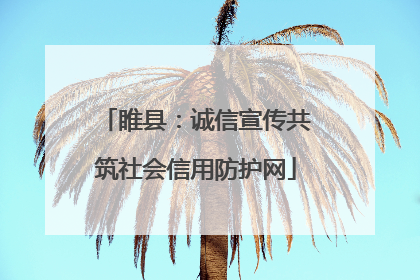 睢县：诚信宣传共筑社会信用防护网