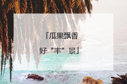 瓜果飘香 好“丰”景
