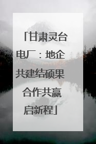 甘肃灵台电厂：地企共建结硕果 合作共赢启新程