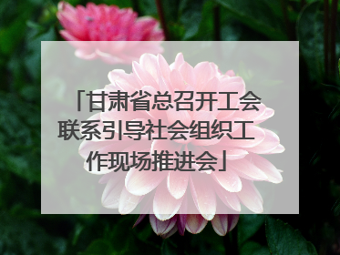 甘肃省总召开工会联系引导社会组织工作现场推进会