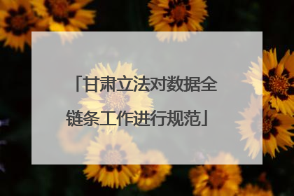 甘肃立法对数据全链条工作进行规范