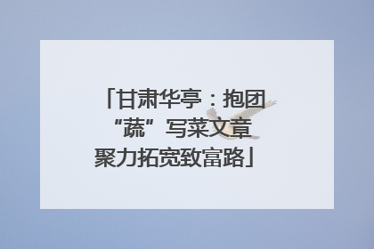 甘肃华亭：抱团“蔬”写菜文章 聚力拓宽致富路