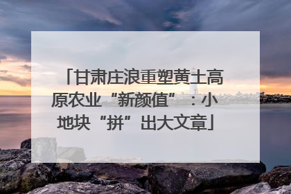 甘肃庄浪重塑黄土高原农业“新颜值”：小地块“拼”出大文章