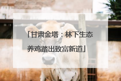 甘肃金塔：林下生态养鸡踏出致富新道