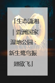 生态潇湘｜萱洲国家湿地公园：新生鹭鸟振翅欲飞