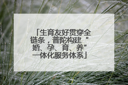 生育友好贯穿全链条，普陀构建“婚、孕、育、养”一体化服务体系