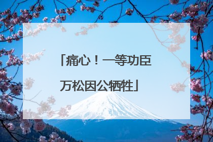 痛心！一等功臣万松因公牺牲