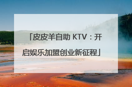 皮皮羊自助 KTV：开启娱乐加盟创业新征程