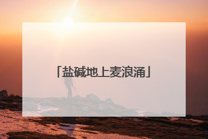 盐碱地上麦浪涌