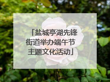 盐城亭湖先锋街道举办端午节主题文化活动