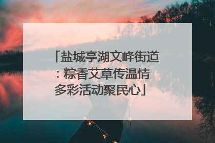 盐城亭湖文峰街道：粽香艾草传温情 多彩活动聚民心