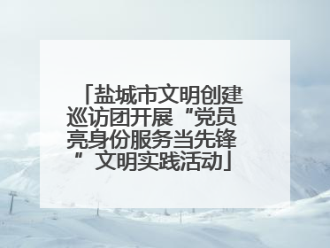 盐城市文明创建巡访团开展“党员亮身份服务当先锋”文明实践活动