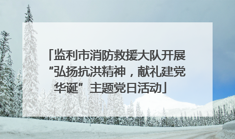 监利市消防救援大队开展“弘扬抗洪精神，献礼建党华诞”主题党日活动