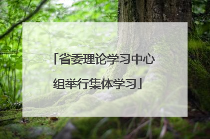 省委理论学习中心组举行集体学习