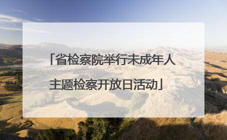 省检察院举行未成年人主题检察开放日活动