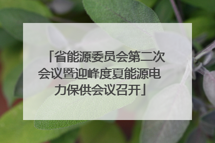 省能源委员会第二次会议暨迎峰度夏能源电力保供会议召开