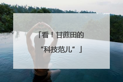 看！甘蔗田的“科技范儿”