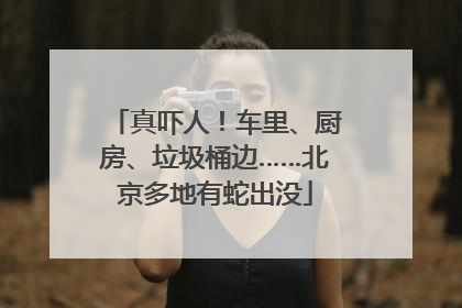 真吓人！车里、厨房、垃圾桶边……北京多地有蛇出没