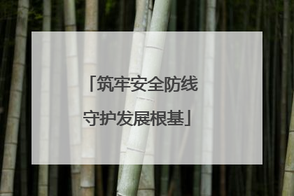 筑牢安全防线 守护发展根基