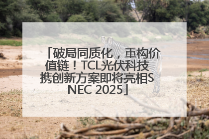 破局同质化，重构价值链！TCL光伏科技携创新方案即将亮相SNEC 2025