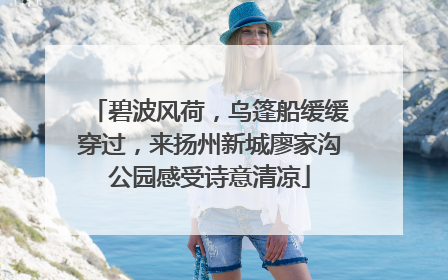 碧波风荷，乌篷船缓缓穿过，来扬州新城廖家沟公园感受诗意清凉