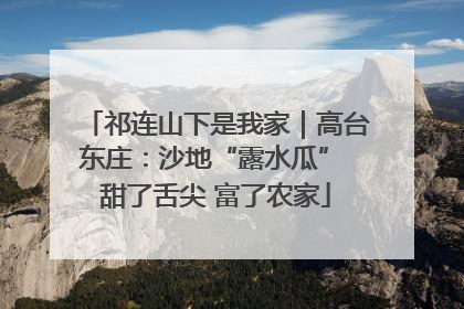 祁连山下是我家｜高台东庄：沙地“露水瓜” 甜了舌尖 富了农家