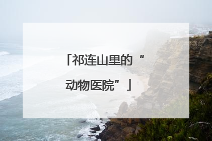 祁连山里的“动物医院”