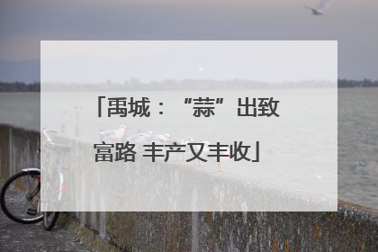 禹城：“蒜”出致富路 丰产又丰收